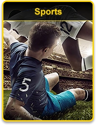 okgames sports betting platform with live matches, real-time updates, and easy registration access